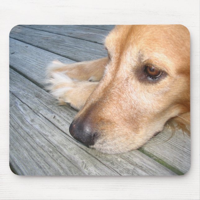 Golden retriever Mousepad (Frente)