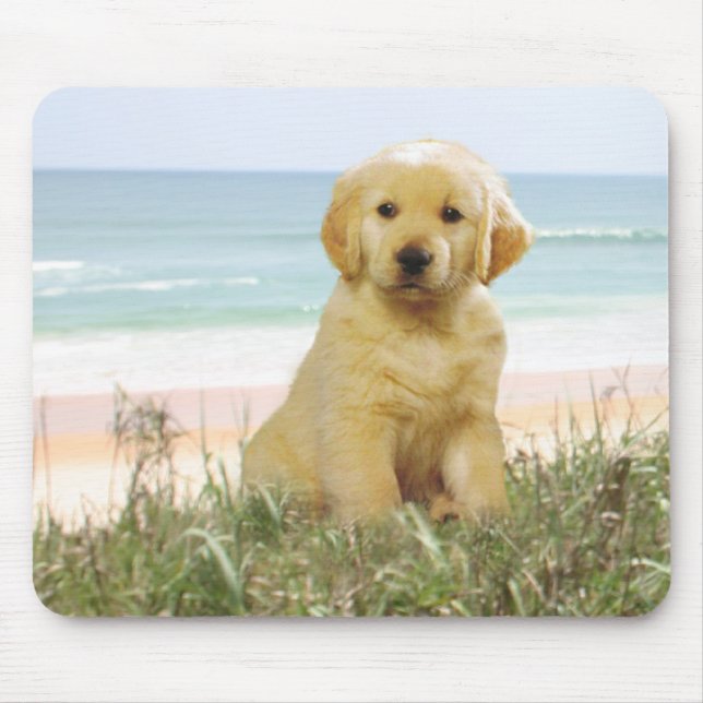 Golden retriever Mousepad (Frente)