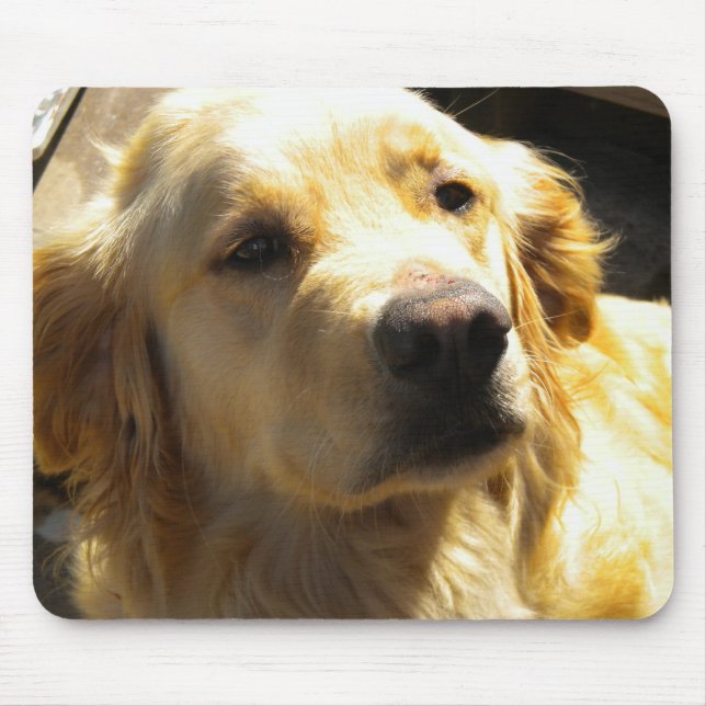 Golden retriever Mousepad (Frente)