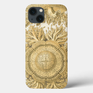 Golden Sea Creatures