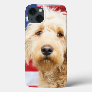Goldendoodle com bandeira americana