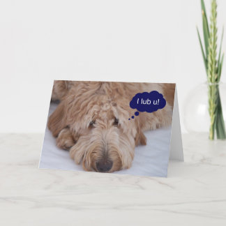 Goldendoodle "mim lub u!" Cartão