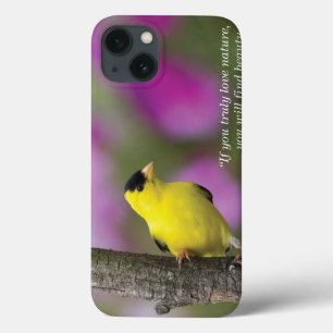 Goldfinch