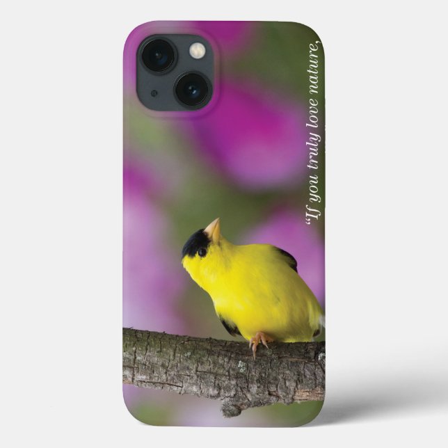 Goldfinch (Verso)