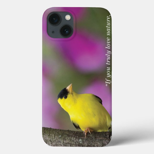 Goldfinch (Verso)