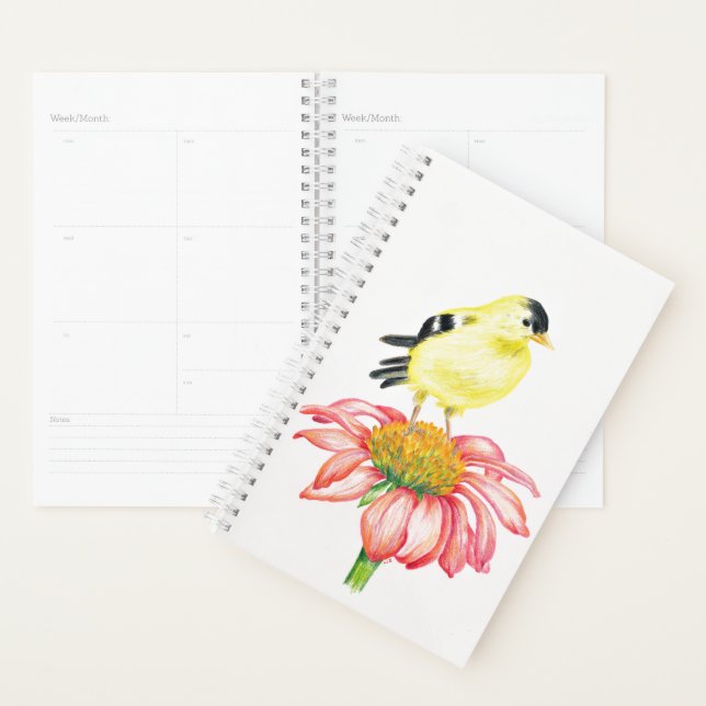 Goldfinch do Planejador Sm no Coneflower (Exibição)