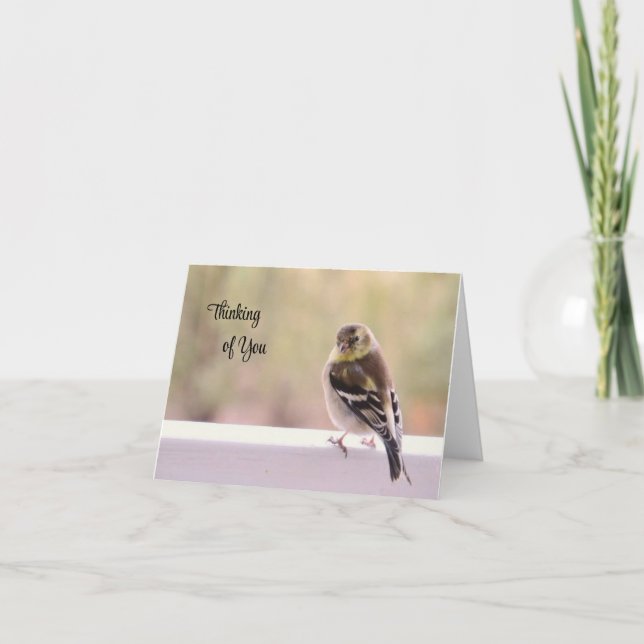 Goldfinch - Pensando no seu cartão (Frente)