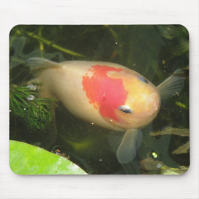 Goldfish Mousepad (Frente)