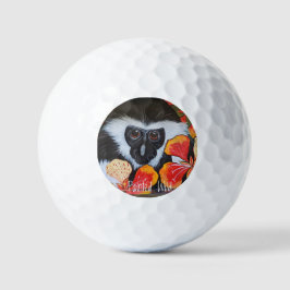 Golf Balls Colobus Pintado Selvagem