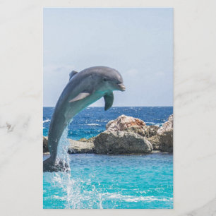 Golfinho de Bottlenose