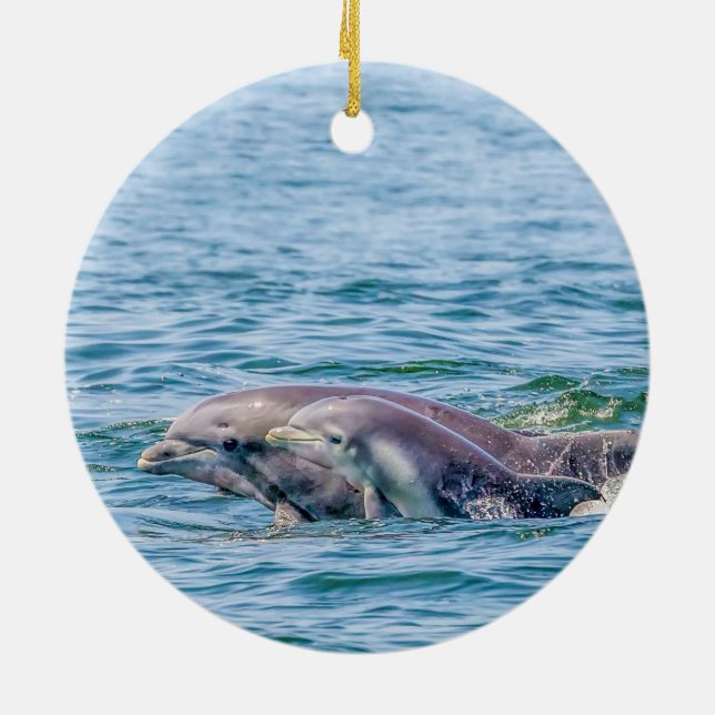 Golfinho do amor de mãe & ornamento do bebê (Traseira)