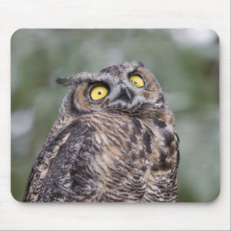 Goofy Owl Mousepad