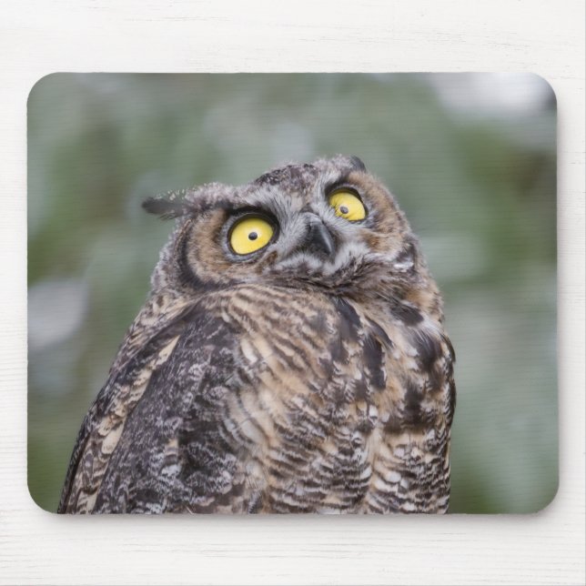 Goofy Owl Mousepad (Frente)