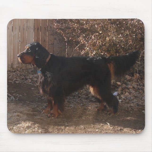 Gordon Setter Mousepad (Frente)