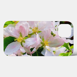 Gorgeous Malus asiatica Foto