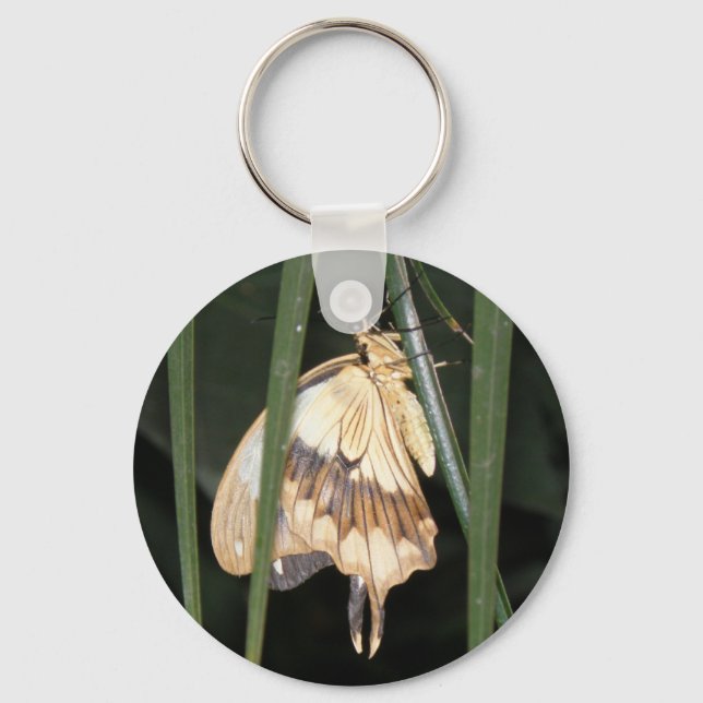 Gorgeous Moth Chaveiro (Frente)