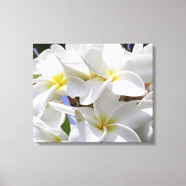 Gorgeous Plumeria Canvas (Frente)