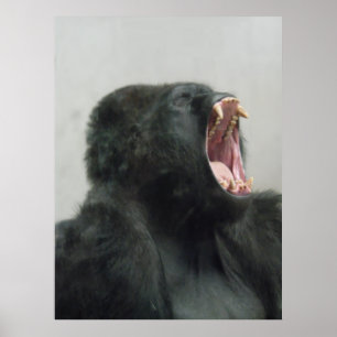 Gorilla, Ape, Macaco, Animal, Nature Wall Poster