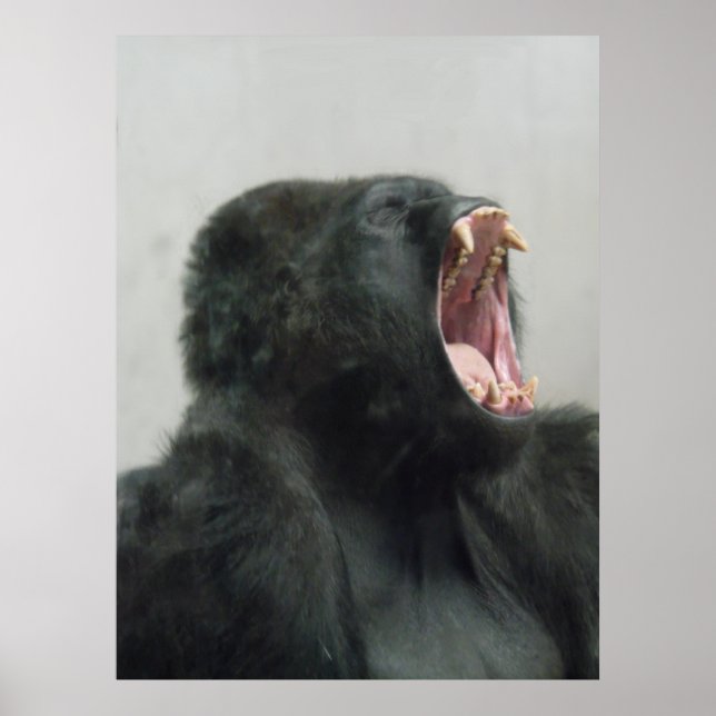 Gorilla, Ape, Macaco, Animal, Nature Wall Poster (Frente)