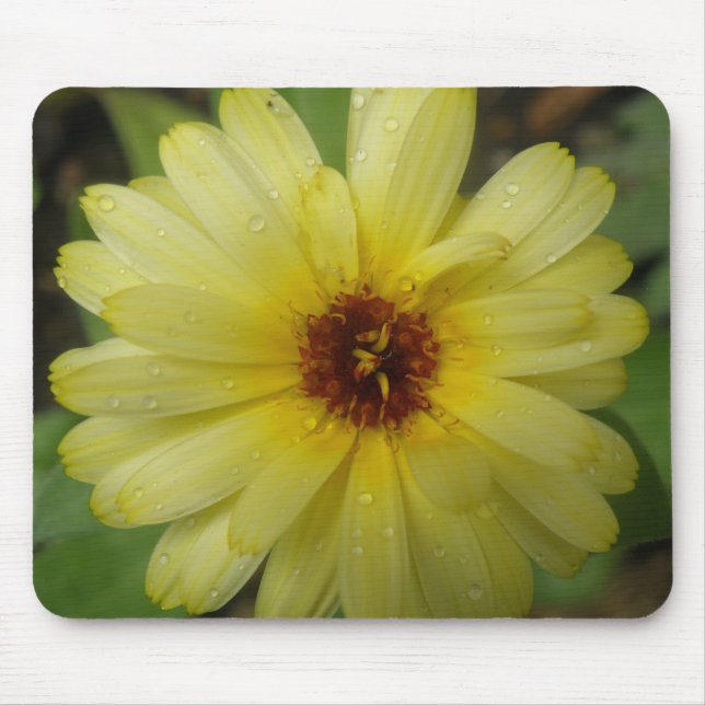 Gotas Amarelas Marigold Mousepad (Frente)