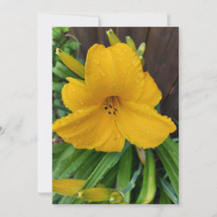 Gotas de chuva em um cartão de vazio de flor amare