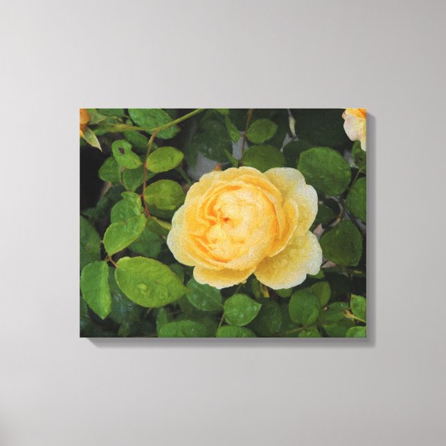 Gotas de chuva na Canvas estendida de rosa amarela (Frente)