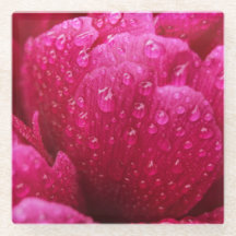 Gotas de Chuva na Flor de Peônia