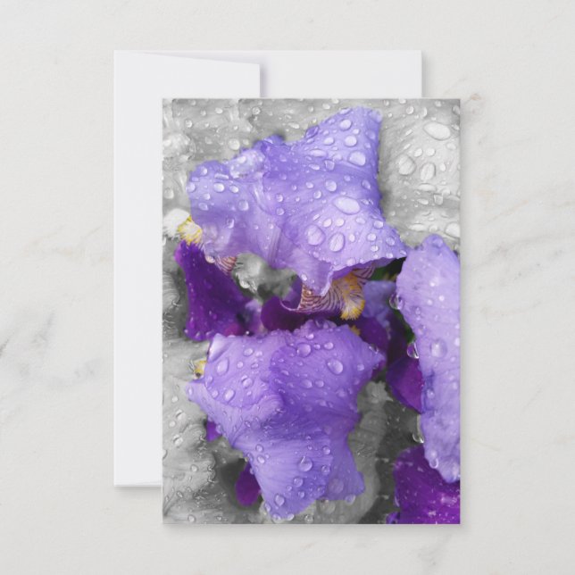 gotas de chuva na íris (Frente)