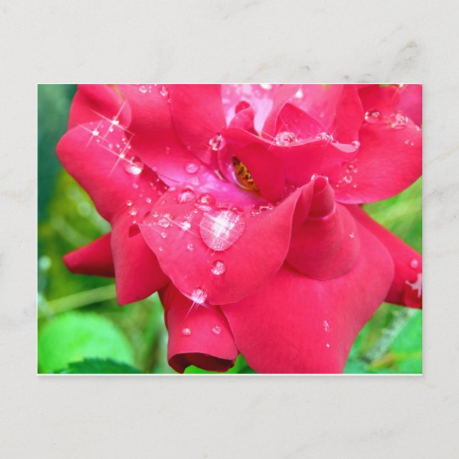 Gotas em cartão postal (Frente)