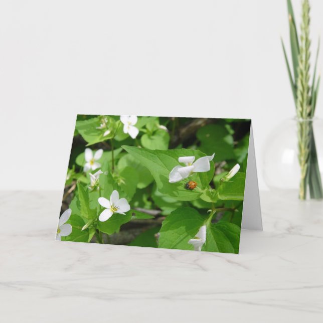 Gotta Love Ladybugs (3) Cartão Saudável (Frente)