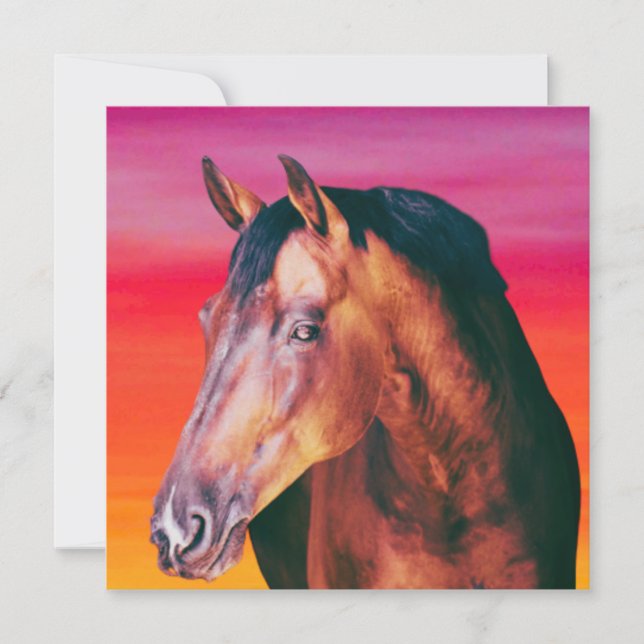 Gradiente de Cavalo de Baía (Frente)