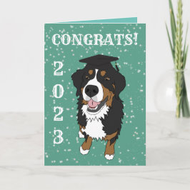 Graduação Cartão de Cachorro de Montanha Bernese