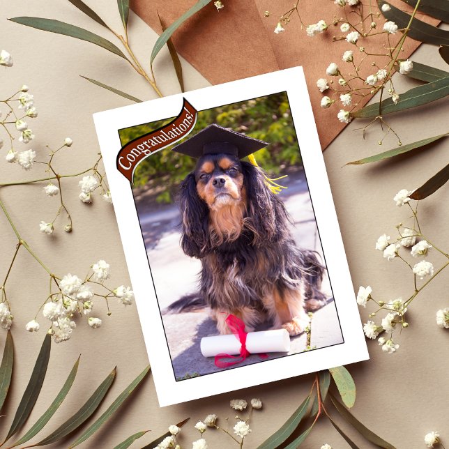 Graduação Do Cartão De Cão Da Escola De Vet (Criador carregado)