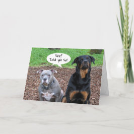 Graduação Pitbull e Rottweiler - Indicada Cartão Y