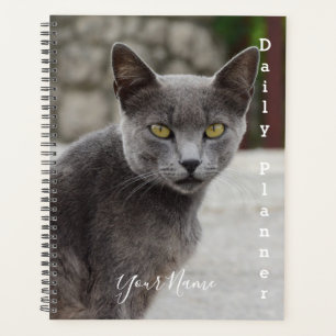Gráfico de Gato Cinza Chartreux - Planejador Diári