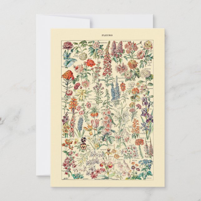 Gráfico de Jardinagem de Flores Botânicas (Frente)