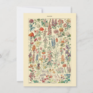 Gráfico de Jardinagem de Flores Botânicas