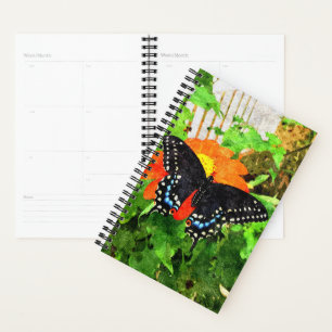 Gráfico de Swallowtail Preto do Planejador Sm