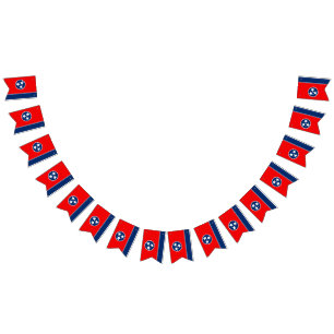 Gráfico dinâmico da bandeira do estado de