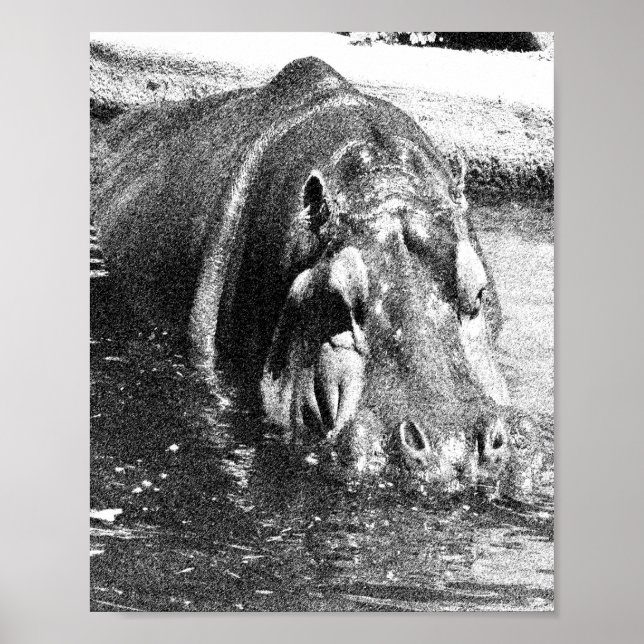 Grainy Black White Hippo Art, Poster (Frente)