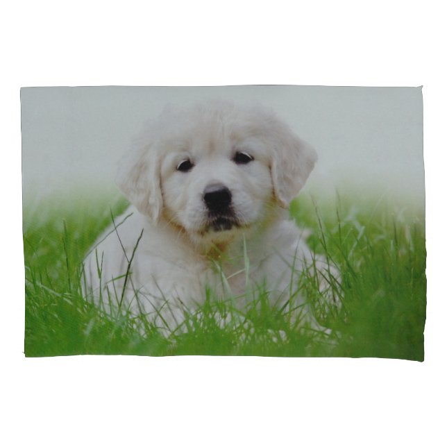 Grama verde bonito de cão de filhote de cachorro (Frente)