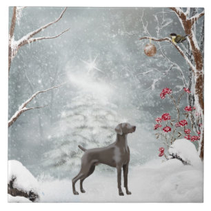Grande (6" X 6") azulejo cerâmico de Weimaraner