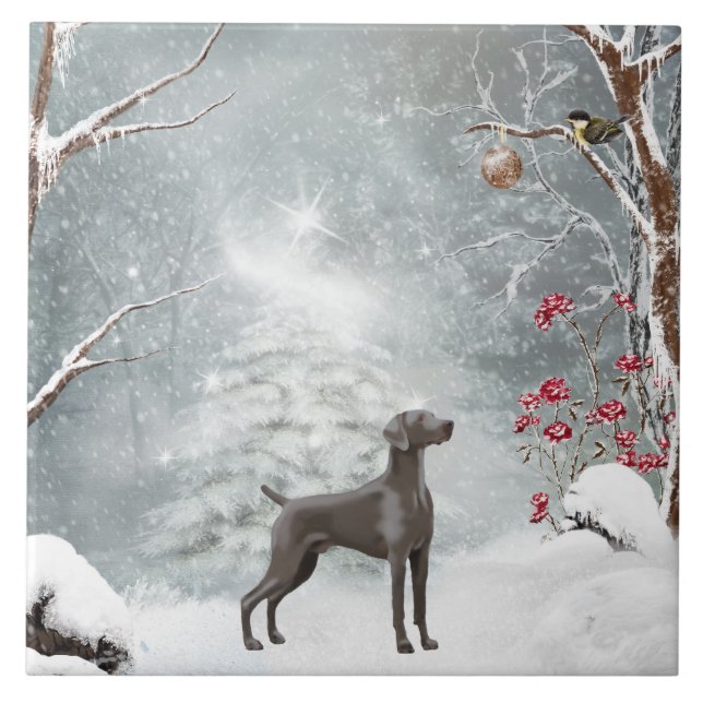 Grande (6" X 6") azulejo cerâmico de Weimaraner (Frente)