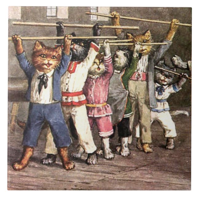 Grande Azulejo Cerâmico Exercendo Gatos De Gatinho (Frente)