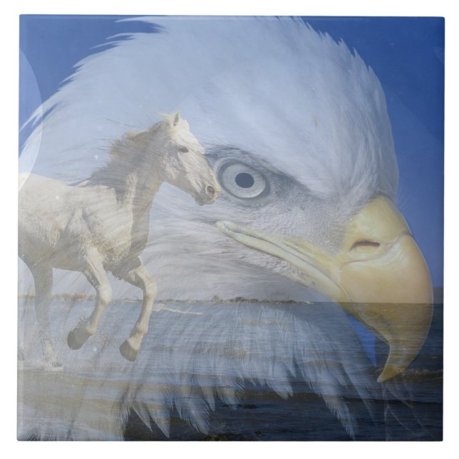 Grande Azulejo de Fotografia Cerâmica (6" X 6") (Frente)