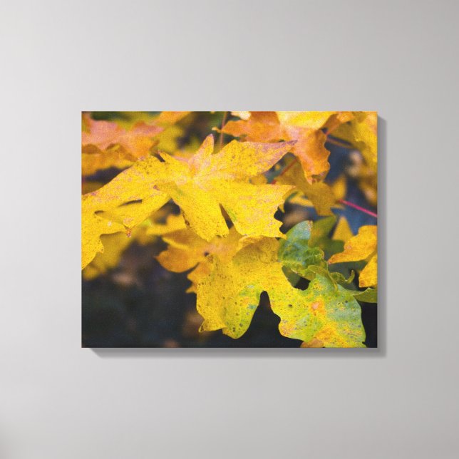 Grande Canvas de Mapeamento Folha 2 (Frente)