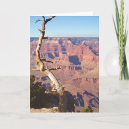 Grande Canyon South Rim - Cartão de Saudação