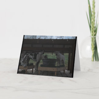 Grande Cartão de Dia das Bruxas