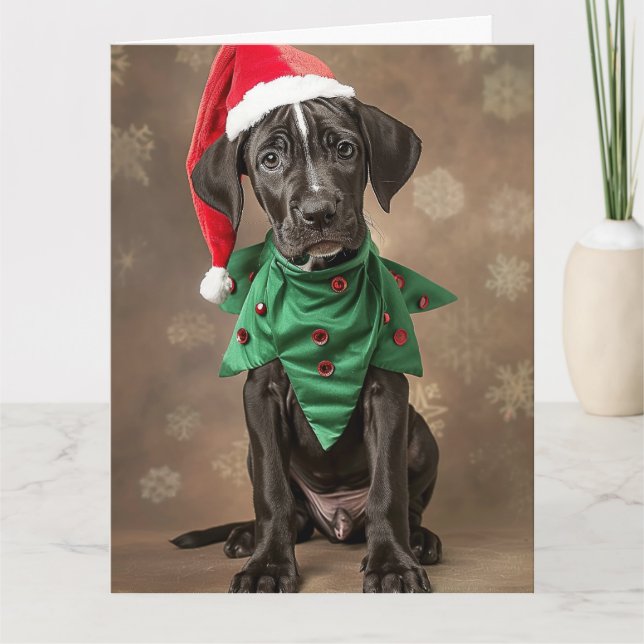 Grande Cartão de Natal Dane Elf (Frente)