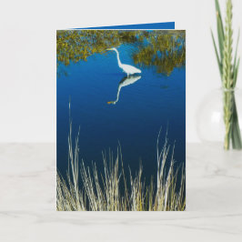 Grande cartão do Egret #2